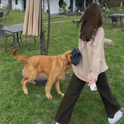 熊出没之夏日连连看